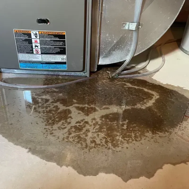 Appliance Leak Cleanup in Pistakee Highlands, IL